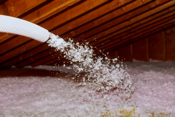 Best Commercial Insulation in Garden Plain, KS